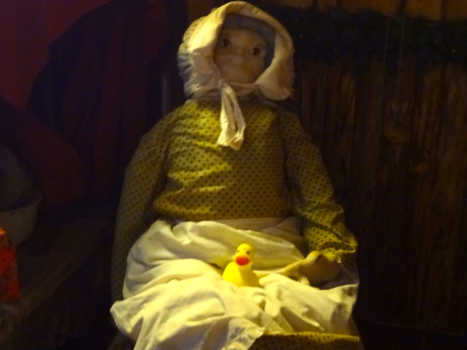 Eider on antique roll