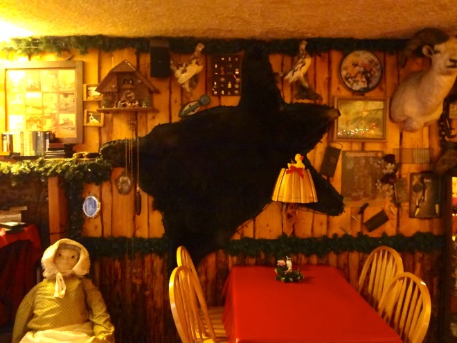 Eider on lamp shade near bear skin