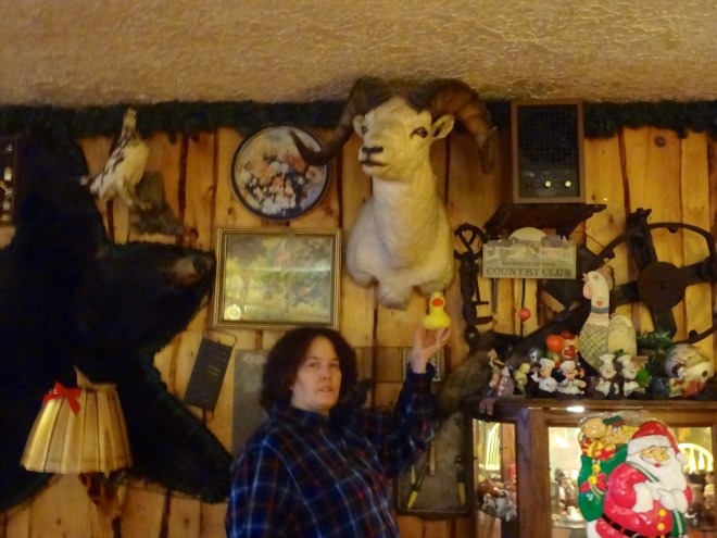 Cindy holding Eider near dall sheep