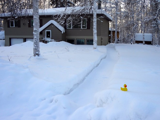 Clear a path so heating oil can be deliver