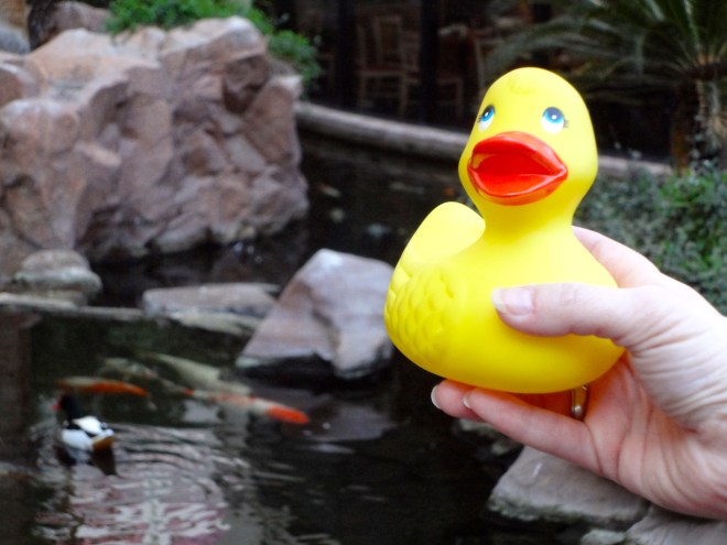 Big fish swimming in here