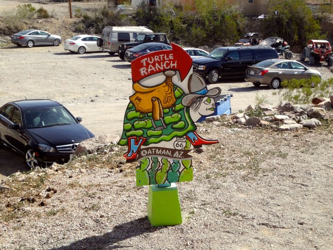 Turtle Ranch in Oatman, Arizona