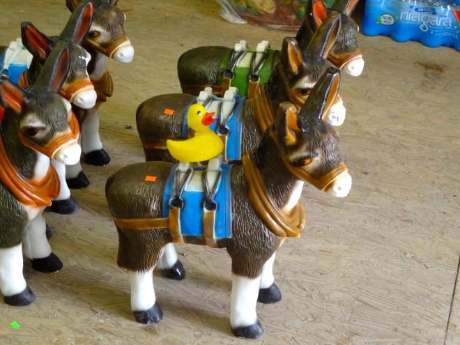 Eider is riding a burro!