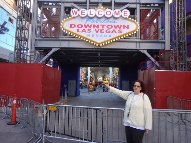 Eider Duck with Cindy in Downtown Las Vegas