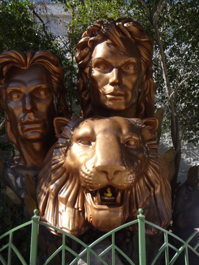 Eider get out of there!!!