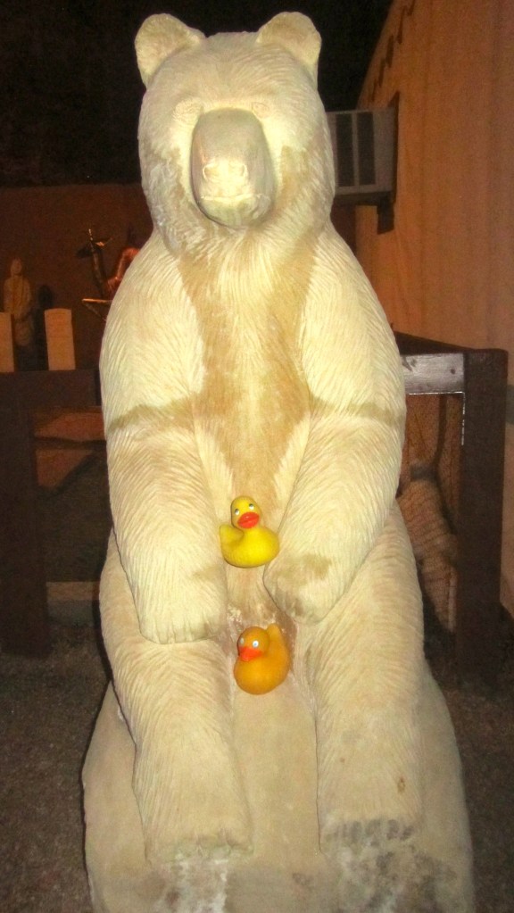 A polar bear in Colorado