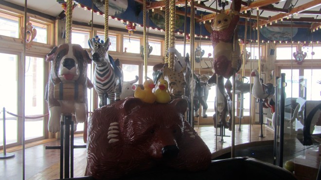 Riding on a bear followed by a zebra