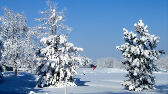 Snow covered golf course