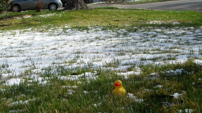Not much snow this afternoon