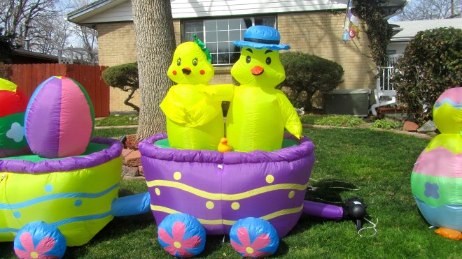 Zeb the Duck with big chickens