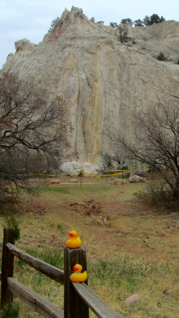Variety of rocks here