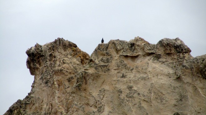 Guardian of Garden of the Gods