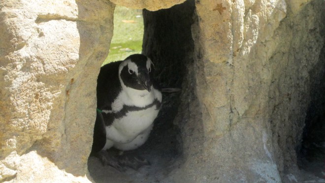 He is waiting for you