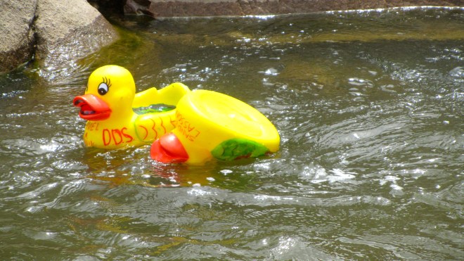 Some up and some down