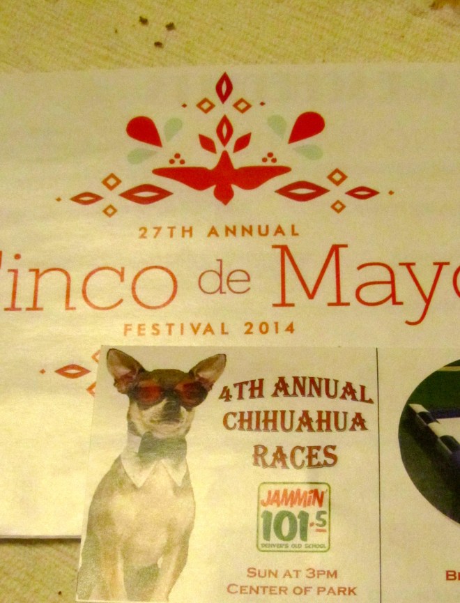 Yes!  Chihuahua races