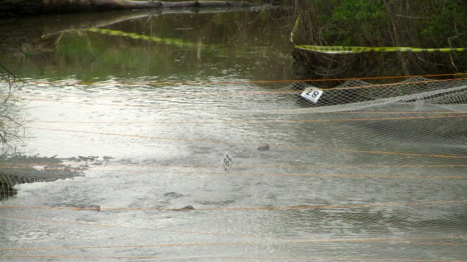 Previous participant lost a race number 