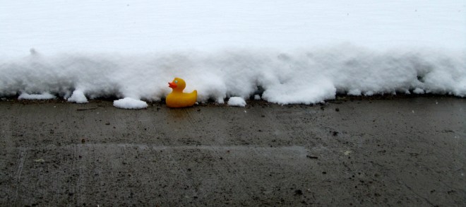 Don't plant too early