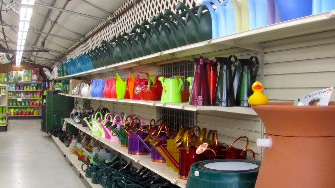 More than I ever saw in my entire Duck life