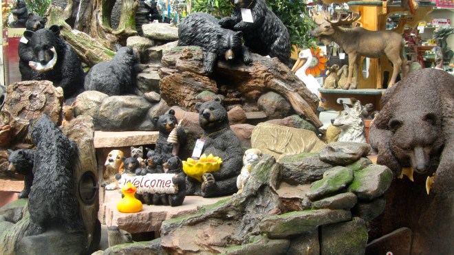 We do have bears in Colorado