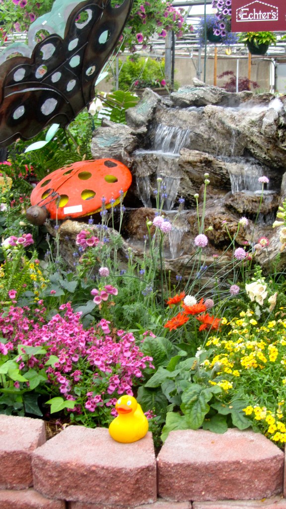 I love water--I am a duck