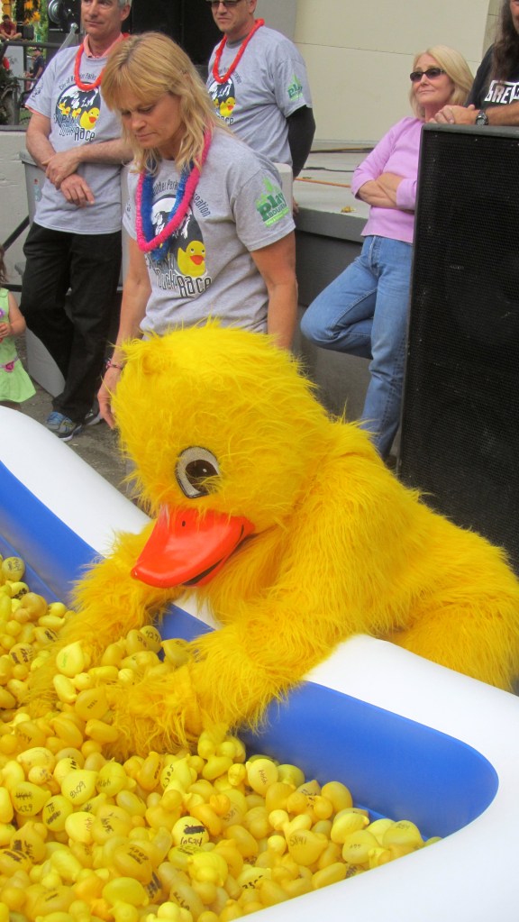 Ducks can be so helpful