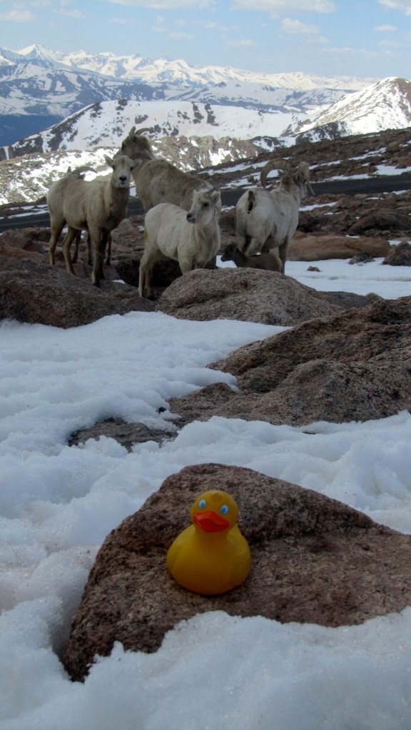 My new friends are watching me