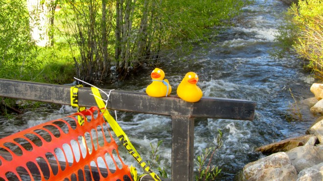 Have fun but be careful!