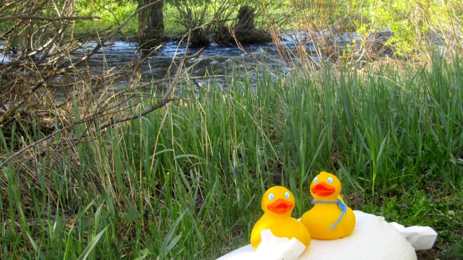 Our first sand bags.  Very close to our condo