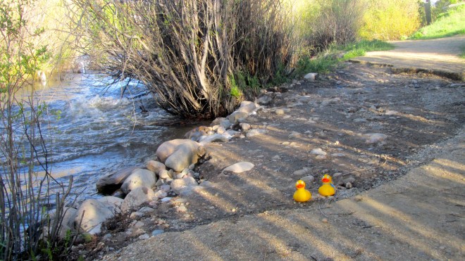 Part of our path is gone