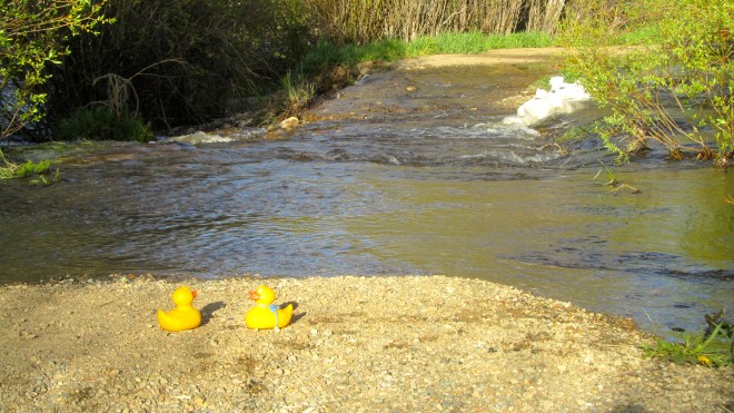 We usually walk through here and stay dry