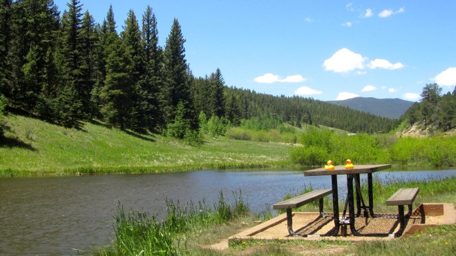 Moms forgot the food