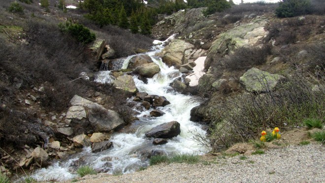 Melting snow gives us these cold streams