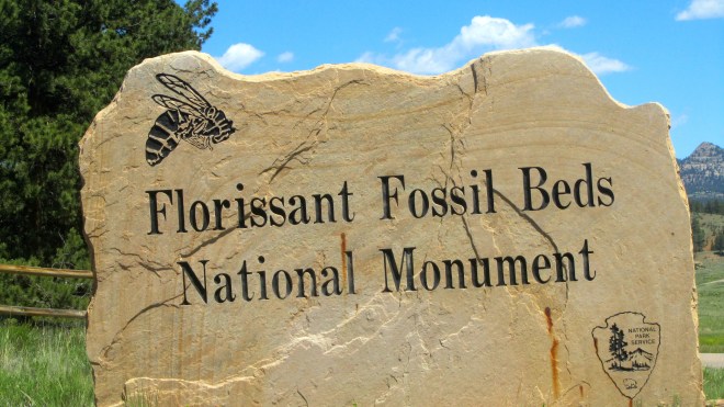 You should see this place!