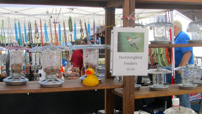 Hummingbirds are so fast