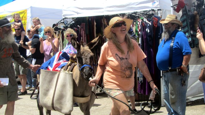 She is leading donkey toward the finish line