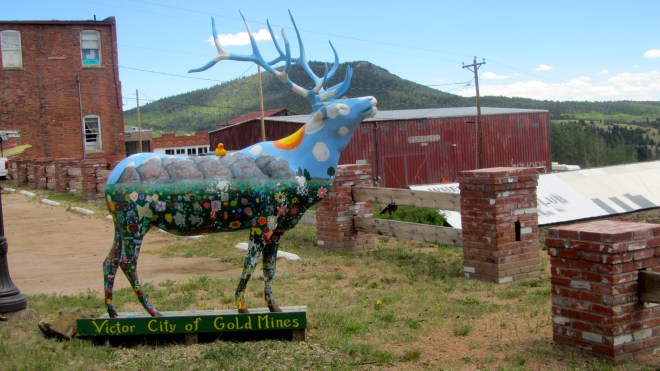 Zeb riding the blue ek