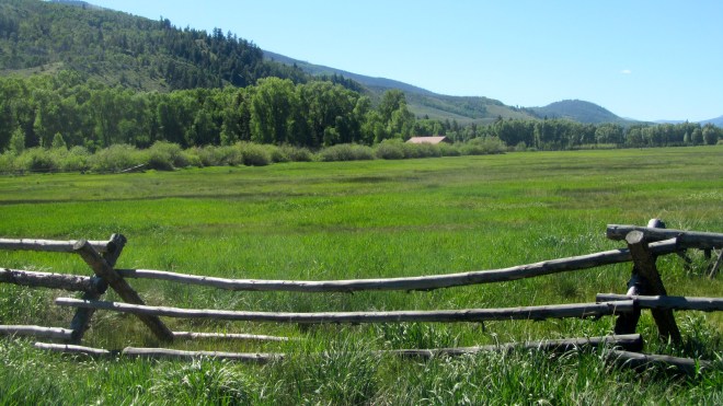 Fenced pasture