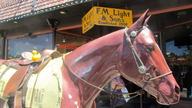 I think I like riding this horse.