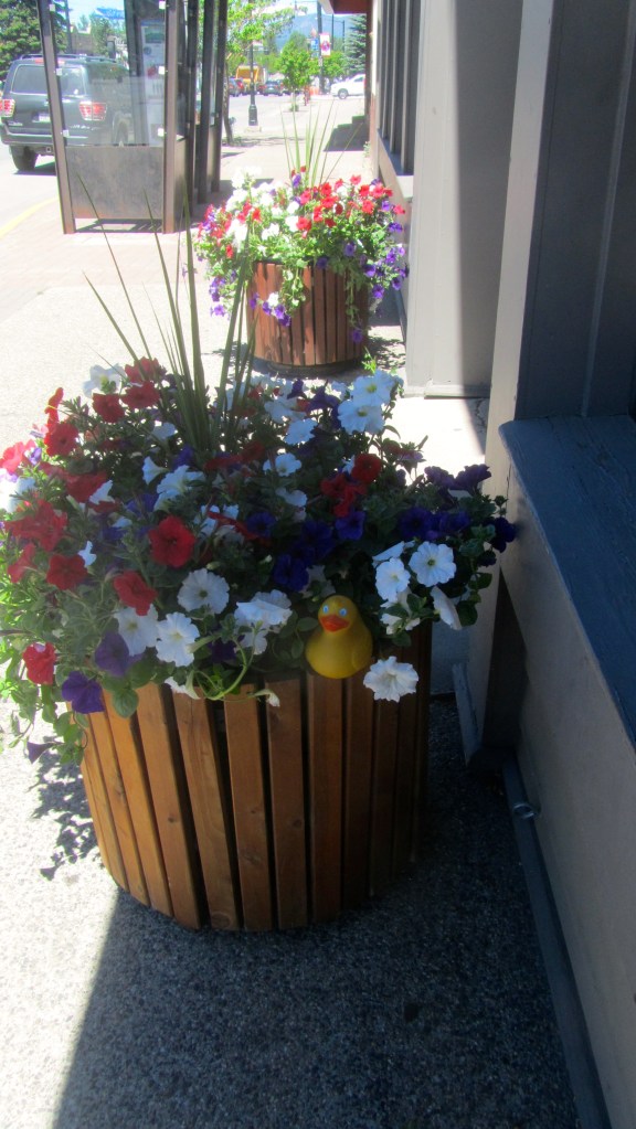 I think I brighten these flowers.