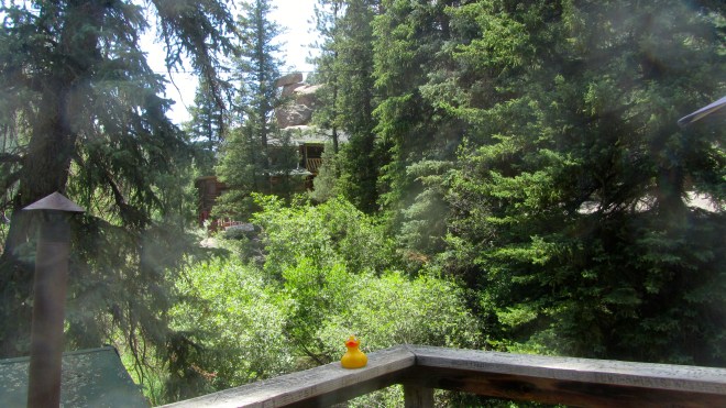 What a view while eating and drinking