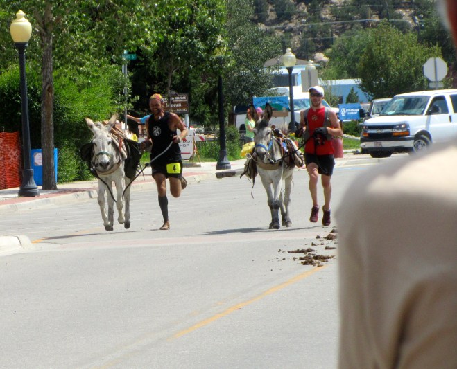 First two burros to finish race