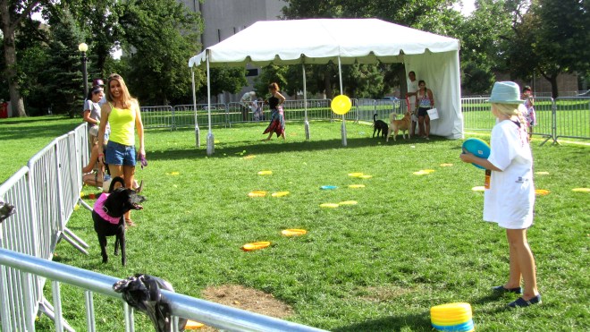 No leashes here, but many frisbees and tennis balls