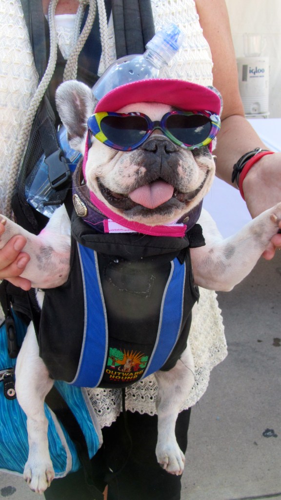 This is dog is her baby