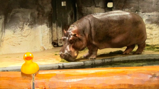 Bert is watching me!