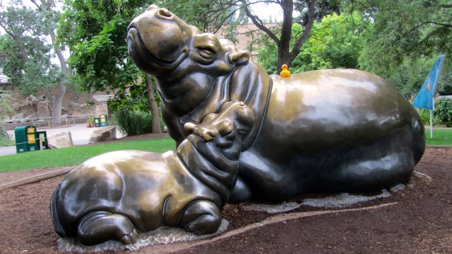 Zeb's first time on a hippo