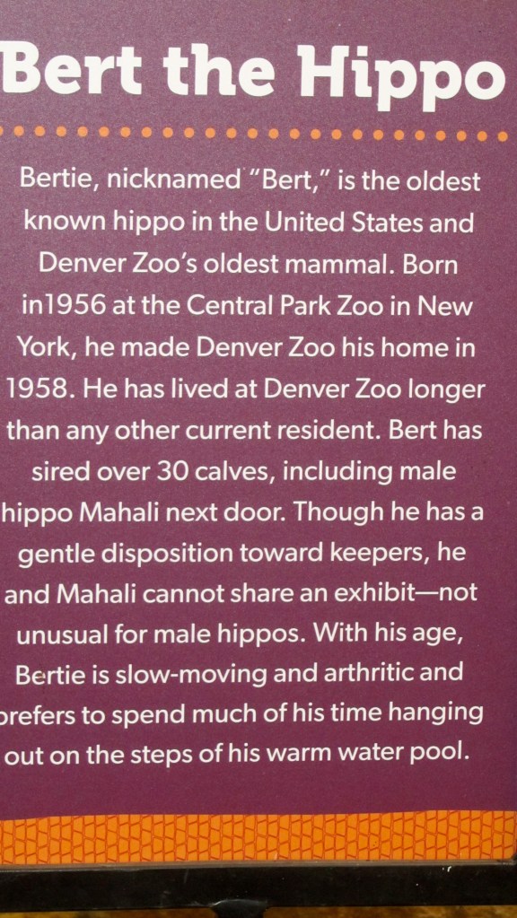 This is Bert's story