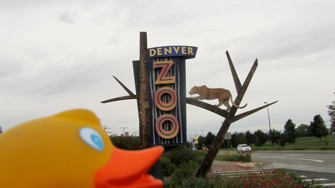 Back to the Denver Zoo