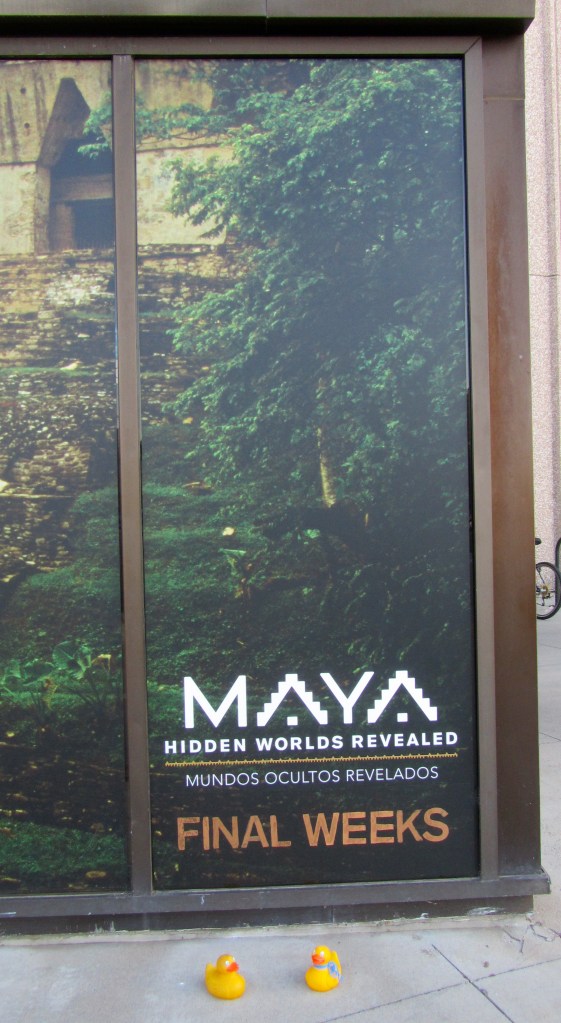 Museum exhibits are wonderful