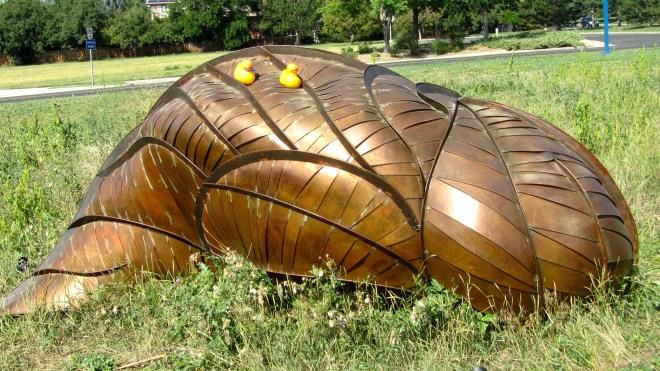 Cocoon by Andy Miller