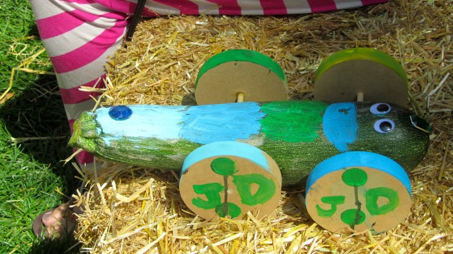 Many decorated zucchinis